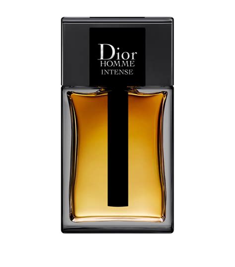 dior homme parfum vs prada l'homme intense